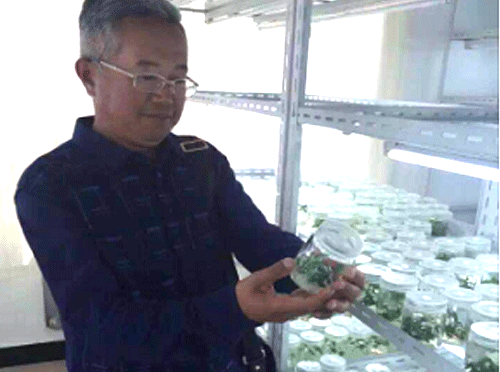 技術保障